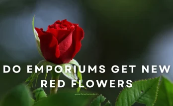 Do Emporiums Get New Red Flowers