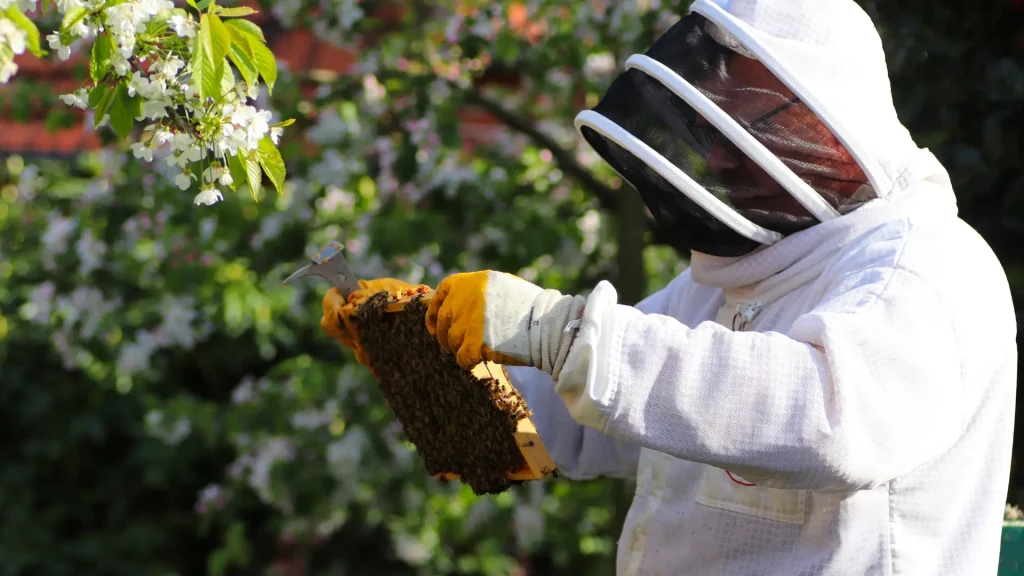 Can You Plant a Bee Haven in August?