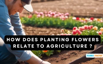 How Does Planting Flowers Relate to Agriculture ?