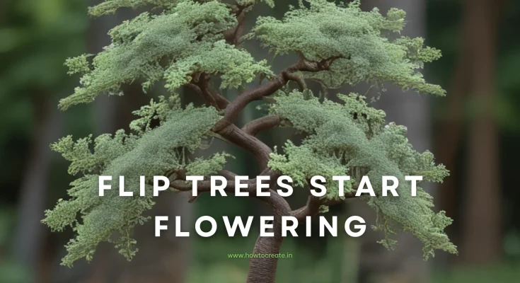 When flip tree start flowering